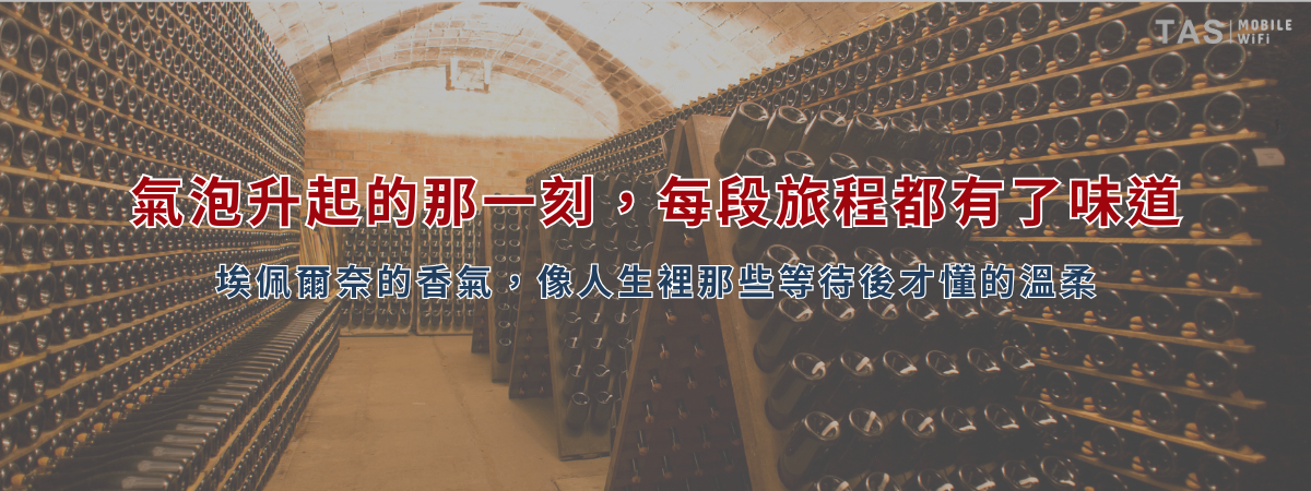 法國埃佩爾奈香檳區冬季景色，酒窖與葡萄田在薄霧中展現迷人靜謐